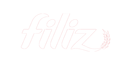 Filiz Makarna